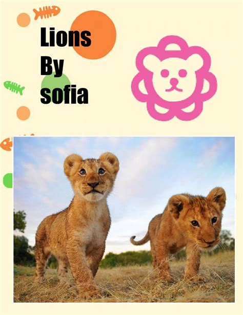 Lions | Book 695248