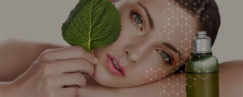 Oleochemie, natürliche und pflanzliche Wachse | Hammonia Oleo