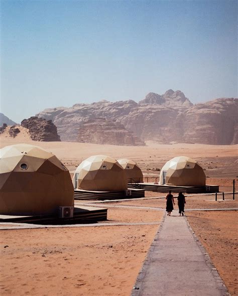 elena setareh taber | A beautiful and bizarre year full of so much