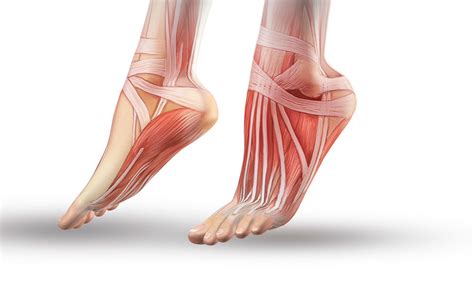 importance  foot assessments unlocking  secrets  optimal