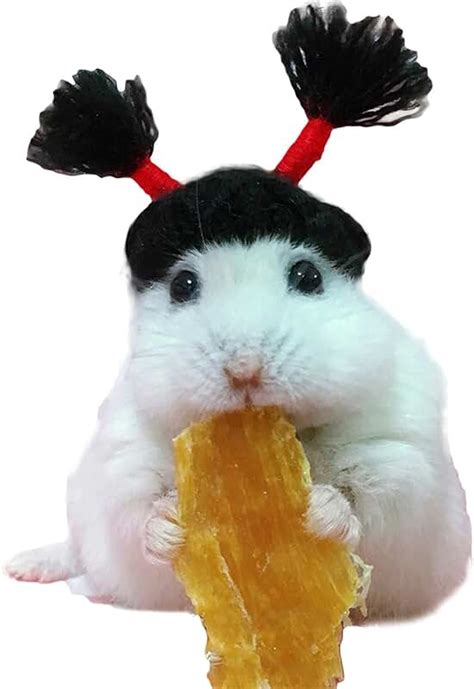 Amazon.com: costumes for hamsters