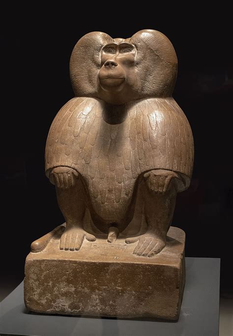 File:Babuino (46613121321).jpg - Wikimedia Commons