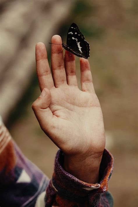 Our Relationship with the Earth: Lessons in Mutualism – Planted