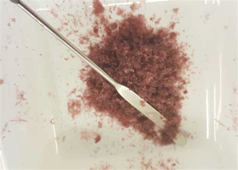 Karengo as a potential alternative protein source - Cawthron Institute