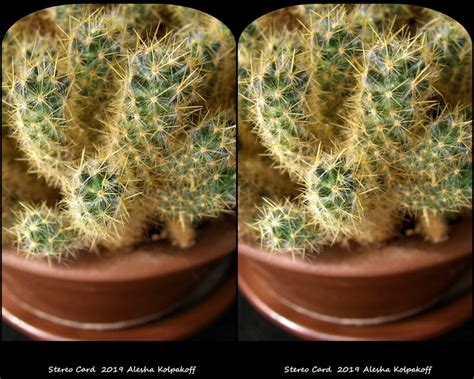 ghim cua robert shiplett tren cyanmagenta