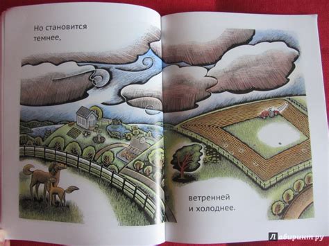 Книга: Летний день - Диана Уайт. Купить книгу, читать рецензии | Лабиринт