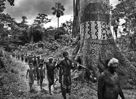 Yanomami Tribe Amazon Rainforest
