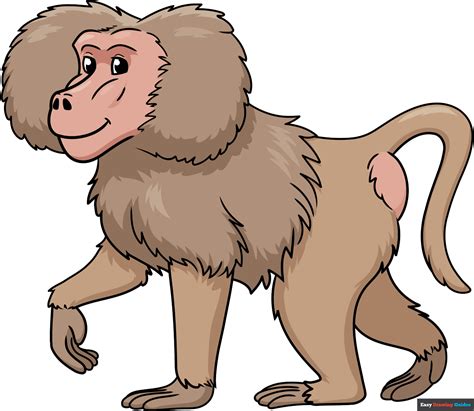 How to Draw a Baboon - Really Easy Drawing Tutorial