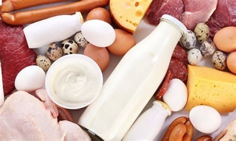 Белки животного происхождения: полезные источники растительного белка ...