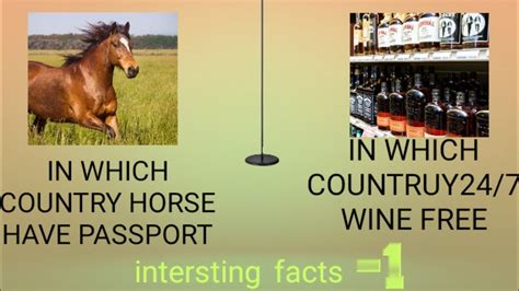 INTERSTING FACTS _1 - YouTube