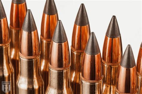 450 Bushmaster vs. 30-06: Hunting Cartridge Comparison by Ammo.com