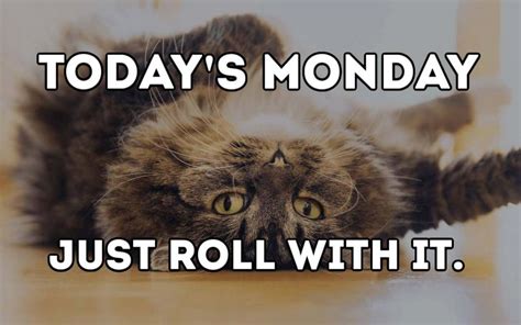 110 Best Funny Happy Monday Memes To Begin Your Day