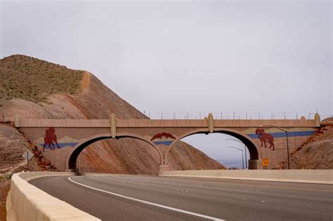 nevada shows commitment   desert wildlife   road