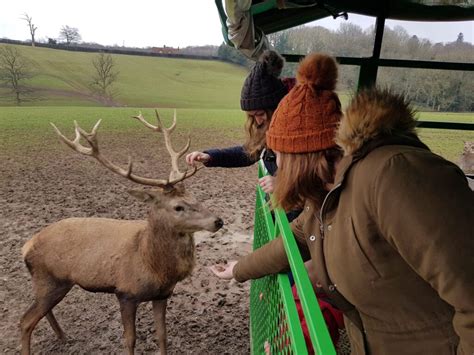 Bucklebury Farm Park - Where To Go With Kids