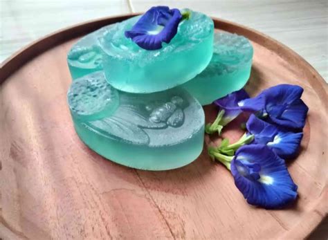 sabun kombucha bunga telang  kulit sehat  lingkungan lebih baik