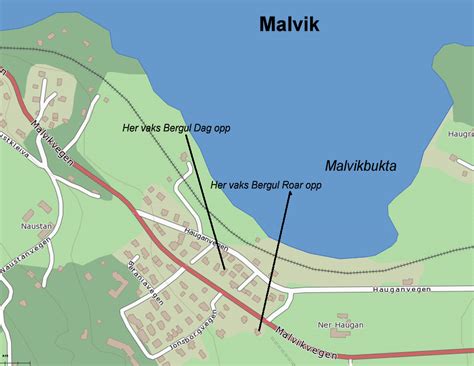 malvik