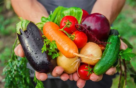 5 Best Vegetables To Grow In A Greenhouse - AGRICULTURE GURUJI