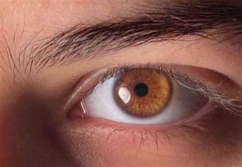 Are my eyes brown or amber? : r/eyes