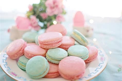 HD wallpaper: macarons, pink, aqua, pastels, cookies, biscuits, sweet ...