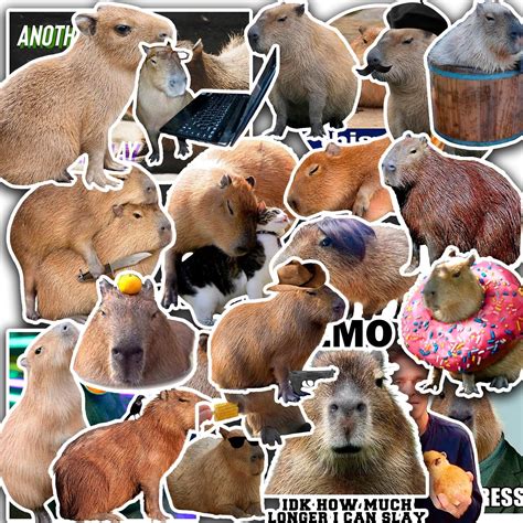 29 PCS Cute Capybara Sticker Pack Aesthetic Memes Chile | Ubuy