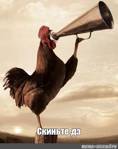 Мем: "Скиньте дз" - Все шаблоны - Meme-arsenal.com