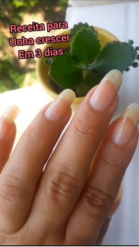 Como As Unhas Crescem - receita para unhas crescer em 3 dias em 2022 | Receita para unha ...