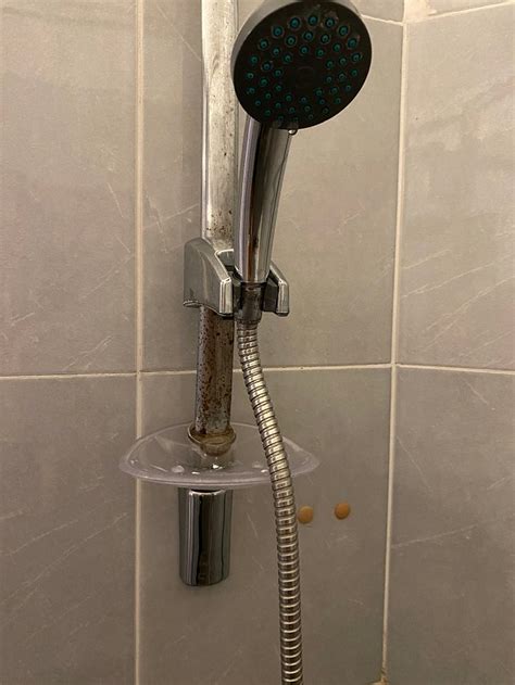 Hotel Zlatni Bor Rooms: Pictures & Reviews - Tripadvisor