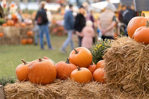 Pumpkin Festivals for 2023 - nuCamp RV