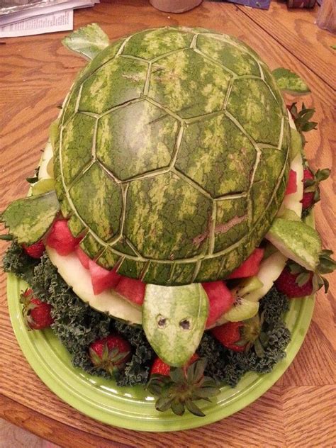 Watermelon..Turtle | Watermelon turtle, Turtle, Watermelon