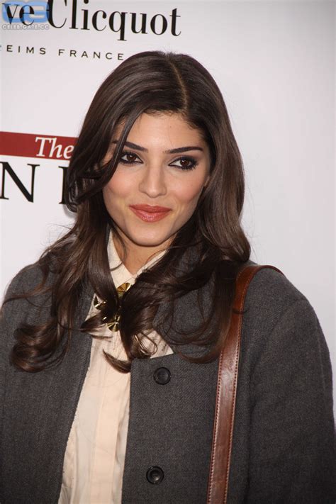 Amanda Setton nude, pictures, photos, Playboy, naked, topless, fappening