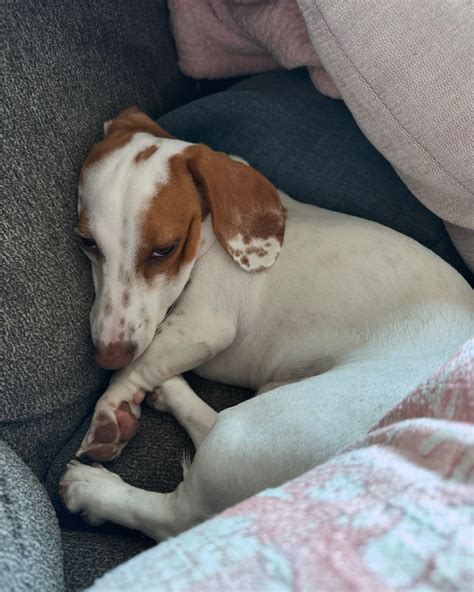 GRACE HIGGINS (@gracedanihiggins) • Instagram photos and videos