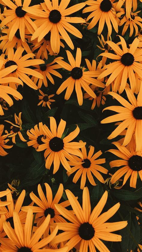 Pinterest Wallpapers - Wallpaper Cave