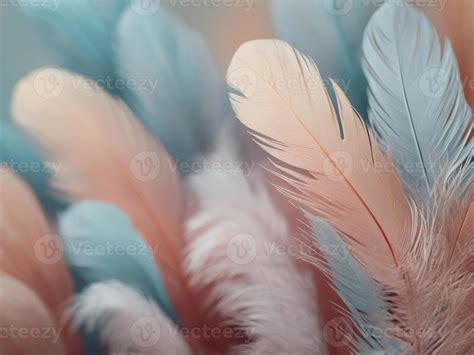 soft feathers background wallpaper close up. 50080093 Stock Photo at