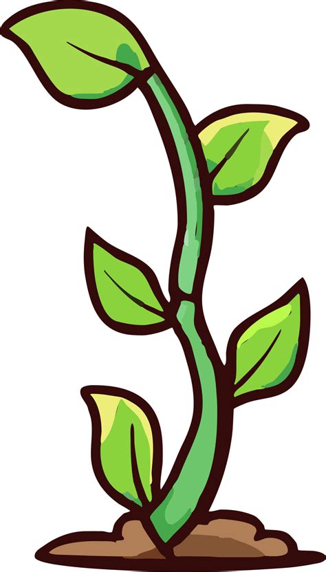 Plant growing png graphic clipart design 23743673 PNG