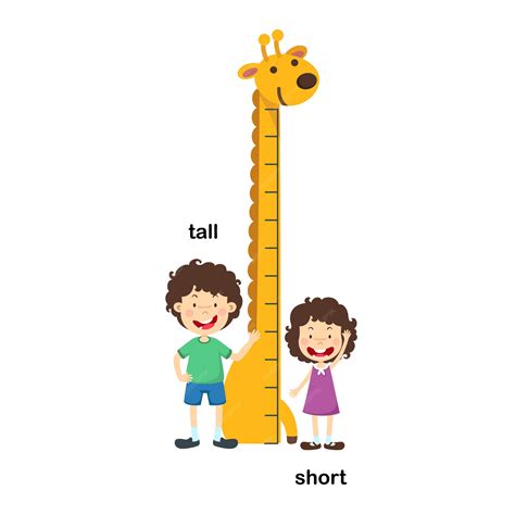 Short And Tall Cartoon