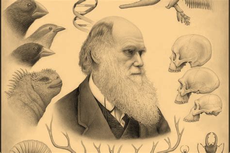 Darwinismo Social E Eugenia - Imágenes Del Darwinismo Social Libro Gratis: PORQUE AYN RAND, LA