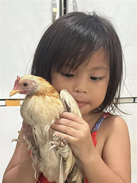 Chicken, banana trend made more fun by a three-year-old in Cebu | Cebu