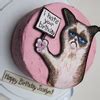 Grumpy Cat Cake - CakeCentral.com