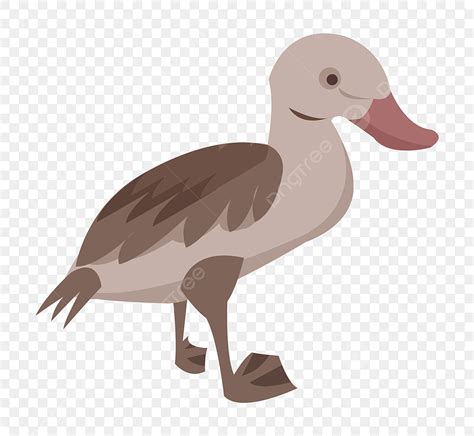 Duck PNG Transparent, Hand Drawn Duck Cartoon Duck Cute Duck Ugly ...