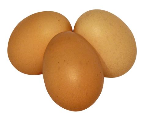 huevos huevo png