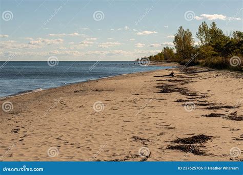 Beach of Rondeau Provincial Park on Lake Erie Stock Photo - Image of ...