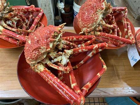 Can You Eat Japanese Spider Crab? Everything You Need To Know