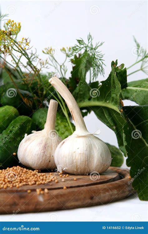 Pickle ingredients stock photo. Image of care, clove, leaf - 1416652