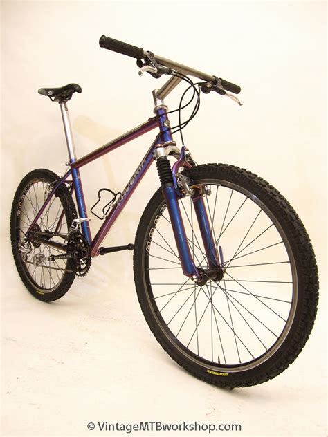 1995 WTB Phoenix - Vintage Mountain Bike Workshop