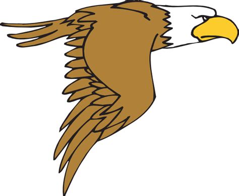 Free Hawk Clipart Pictures - Clipartix