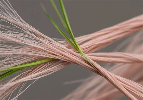 Why Are Natural Fibers More Sustainable? → Question