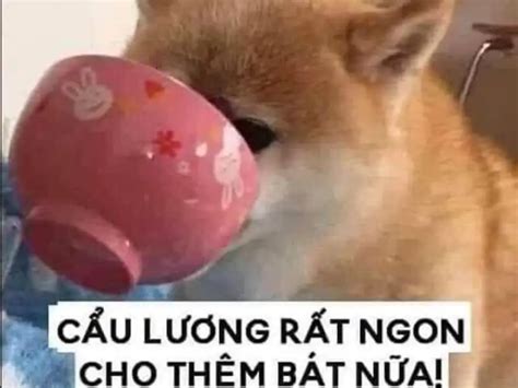 kham pha  gioi meme luong cuc hot khien  mang day song