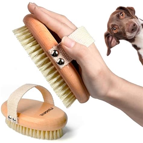 short haired dog brush top  picks review
