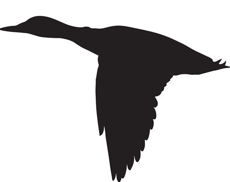 Duck Flight Mallard Clip art - Flying Duck Silhouette PNG Clip Art ...