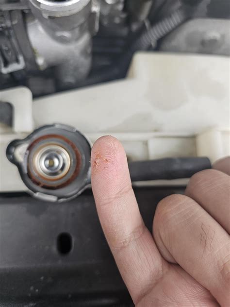 Low Coolant No Leaks